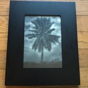 Framed Palm Tree Photograph